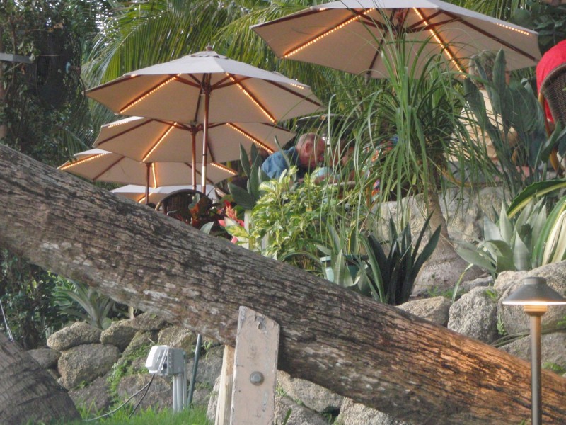 Guanabanas umbrella lighting