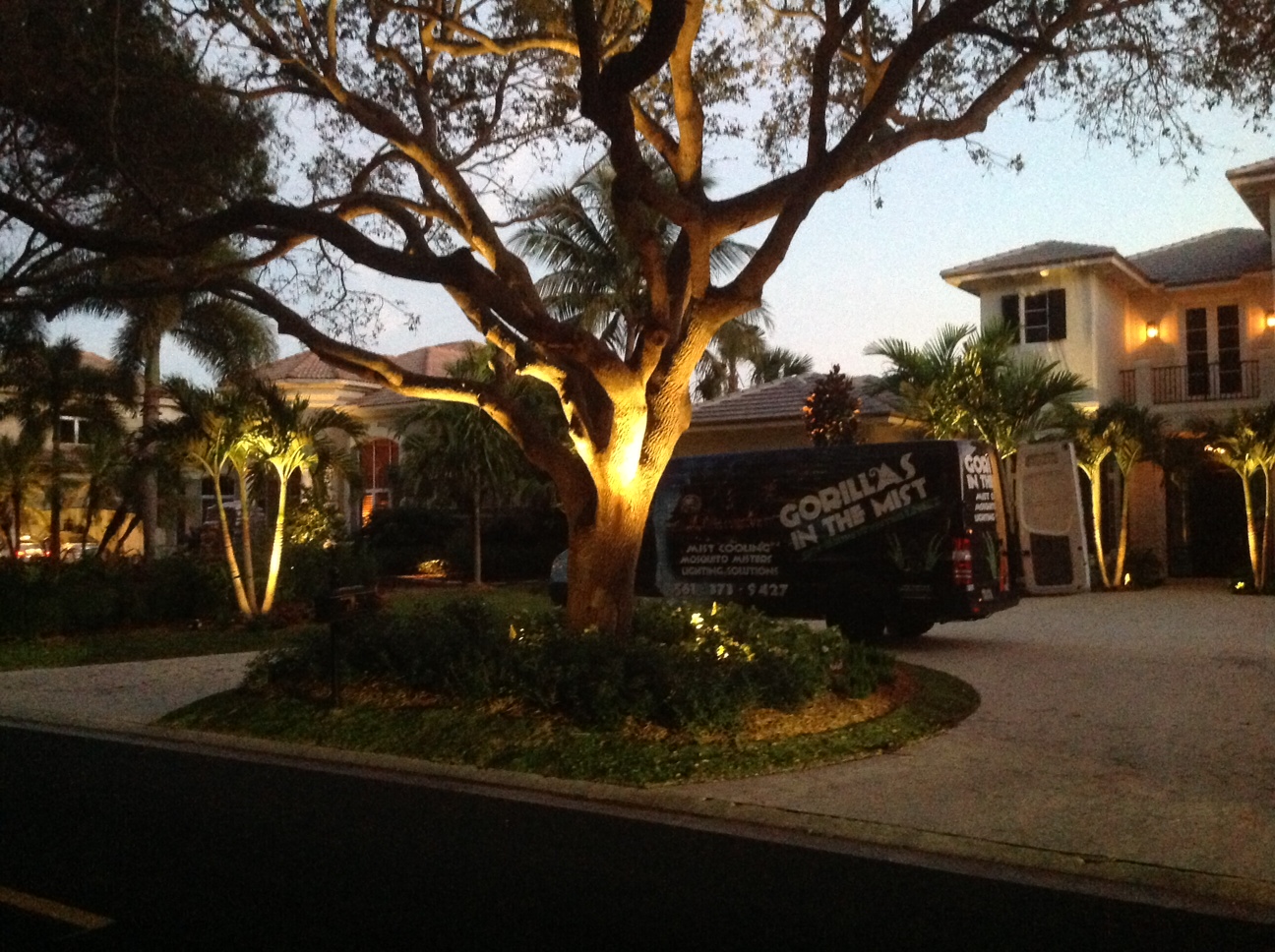 Landscape lighting project