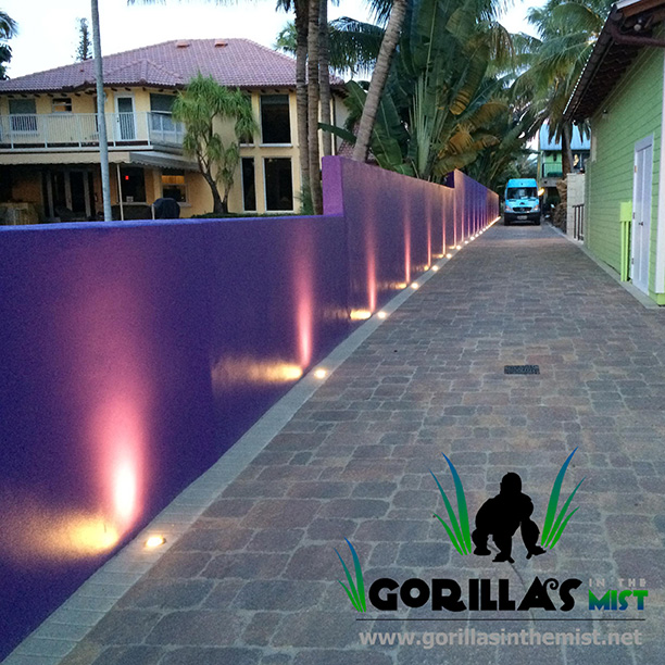 Lighting design showcase