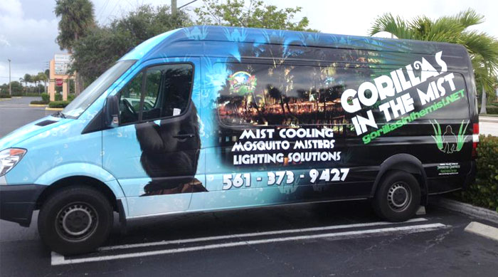 Gorillas In The Mist van